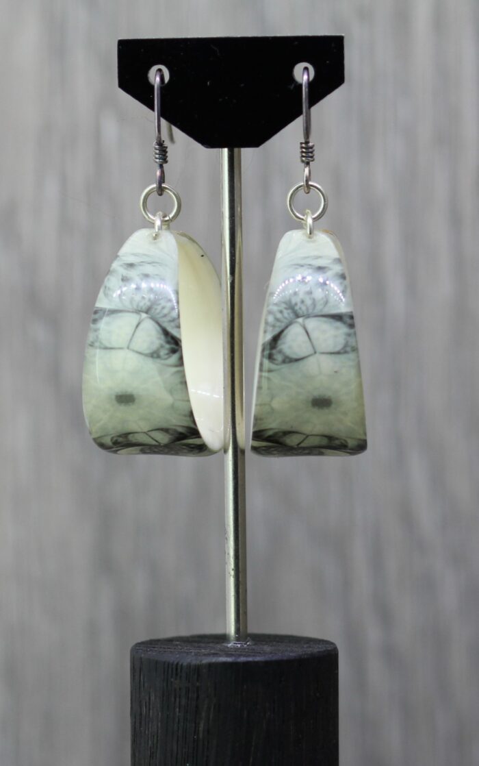 50 Shades Resin Earrings