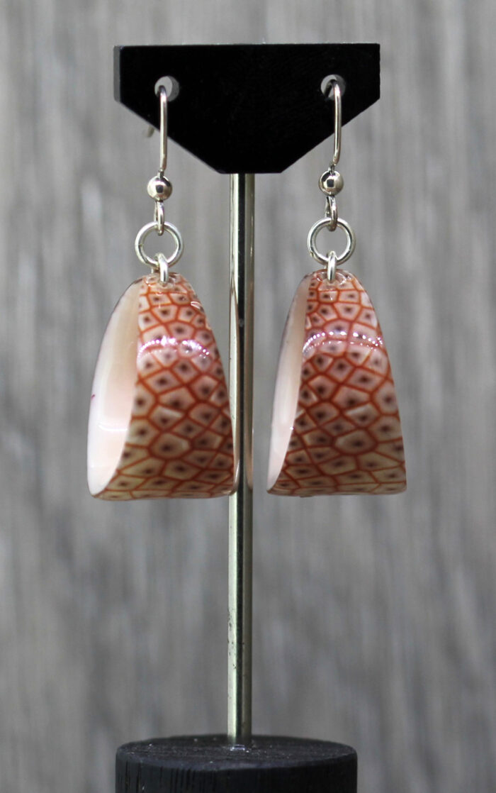 Biology Resin Earrings