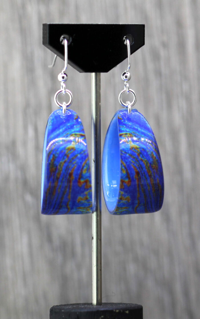 Deep Blue tiger Resin Earrings 1