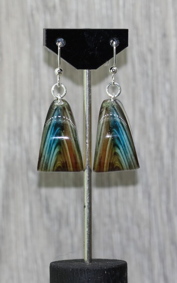 Intrepid Resin Earrings